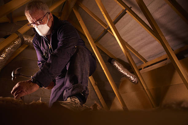 Best Insulation Installation Services in Rotonda, FL